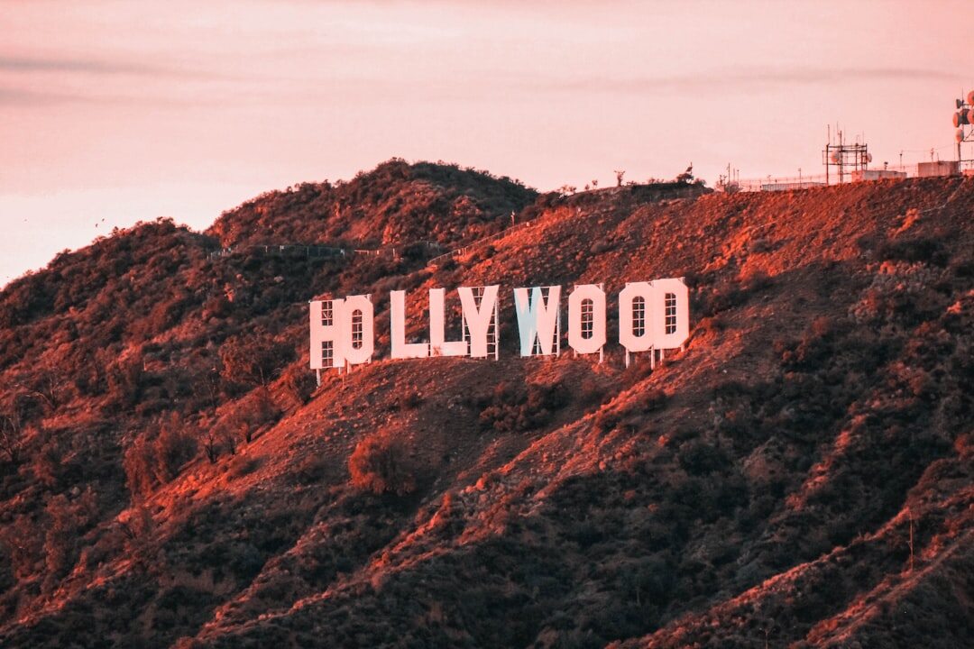 hollywood red carpet fashion